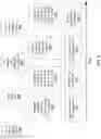 Fig. 07 - PAIRING AND EYE POLARITY DETERMINATION METHOD AND SYSTEM