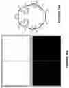 Fig. 17 - HEAD MOUNTABLE DEVICE