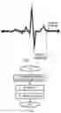 Fig. 16 - Bioimpedance measurement configuration