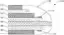 Fig. 01 - SENSORS AND METHODS FOR MEASURING pH