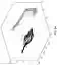 Fig. 08 - MOTION ANALYSIS SYSTEMS AND METHODS OF USE THEREOF