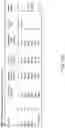 Fig. 33 - MOTION ANALYSIS SYSTEMS AND METHODS OF USE THEREOF