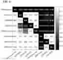 Fig. 10 - SYSTEMS AND METHODS OF AUTOMATIC COUGH IDENTIFICATION