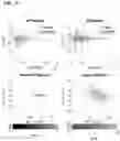 Fig. 16 - SYSTEMS AND METHODS OF AUTOMATIC COUGH IDENTIFICATION