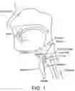 Fig. 02 - Methods and devices using meta-features extracted from accelerometry signals for swallowing impairment detection