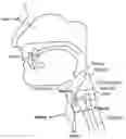 Fig. 01 - Methods and devices using swallowing accelerometry signals for swallowing impairment detection