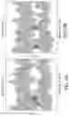 Fig. 13 - Apparatus and method for motor function characterization