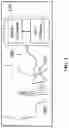 Fig. 02 - SYSTEM FOR PULSE WAVE MEASUREMNT AND ALIGNMENT GUIDANCE METHOD THEREOF