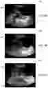 Fig. 07 - SYSTEM AND METHOD FOR ASSESSING OBSTETRIC WELLBEING