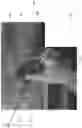 Fig. 03 - Methods and apparatuses for guiding collection of ultrasound data using motion and/or orientation data