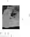 Fig. 12 - Methods and apparatuses for guiding collection of ultrasound data using motion and/or orientation data