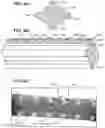 Fig. 11 - Self-retaining system having laser-cut retainers