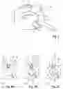 Fig. 02 - MEDICAL DEVICE FOR PLACING A CATHETER