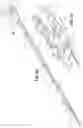 Fig. 31 - Endoscopic surgical clip applier