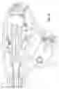 Fig. 45 - Endoscopic surgical clip applier