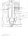 Fig. 04 - Calculus/calculi retrieving device and method