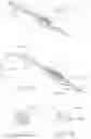 Fig. 15 - Endoscopic Stone-Extraction Device