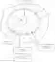 Fig. 01 - DIRECT CONTACT SHOCKWAVE TRANSDUCER