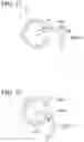 Fig. 29 - Tissue-fastening tool indwelling system and method for indwelling tissue-fastening tool