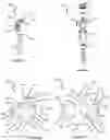 Fig. 15 - Advanced Polyaxial System and Surgical Procedure
