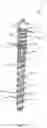 Fig. 12 - Pedicle screw with tulip