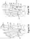 Fig. 02 - PLANTARLY APPLIED REVERSE LOCKING PLATE