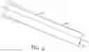 Fig. 05 - Bone plate having a connector and a connector for a surgical loop