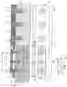 Fig. 02 - BONE PLATE
