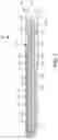 Fig. 08 - Microwave ablation probe with radiofrequency impedance sensing