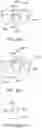 Fig. 29 - Modular aligner devices and methods for orthodontic treatment