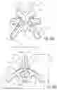 Fig. 23 - Multi-component vaginal insert