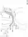 Fig. 22 - Systems and methods for protecting the cerebral vasculature