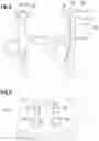Fig. 06 - SYSTEM AND METHOD FOR APPLYING MATERIAL TO A STENT