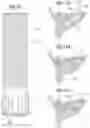 Fig. 09 - Methods of preparing and delivering a dry bioprosthetic valved conduit