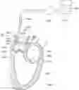 Fig. 01 - AORTIC VALVE EVALUATION ASSISTING JIG