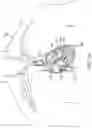 Fig. 04 - VALVE DELIVERY SYSTEM