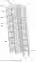 Fig. 03 - Bone graft cage