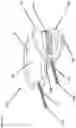 Fig. 10 - Composite joint implant