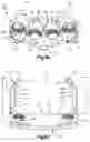 Fig. 04 - Intervertebral implants, systems, and methods of use