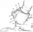 Fig. 02 - ICE CLAMP
