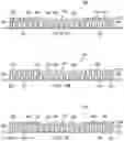 Fig. 05 - Methods of managing moisture when using a low profile wound connection conduit