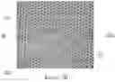 Fig. 05 - Disposable absorbent article