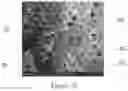 Fig. 06 - Disposable absorbent article