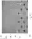 Fig. 15 - Disposable absorbent article