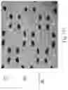 Fig. 18 - Disposable absorbent article