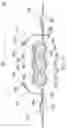 Fig. 27 - Disposable absorbent article