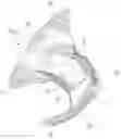 Fig. 02 - Fastening systems comprising nonwoven substrates with hooks formed integrally thereon