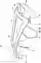 Fig. 19 - Systems and methods for lifting and positioning a patient