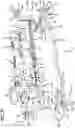 Fig. 30 - Surgical frame having translating lower beam and moveable linkage or surgical equipment attached thereto and method for use thereof