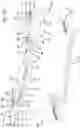 Fig. 53 - Reconfigurable surgical frame and method for use